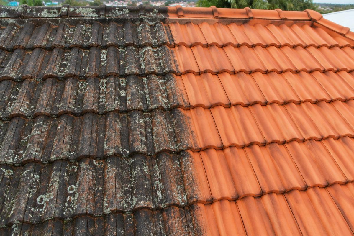 Tiled Brisbane roof after a soft wash clean